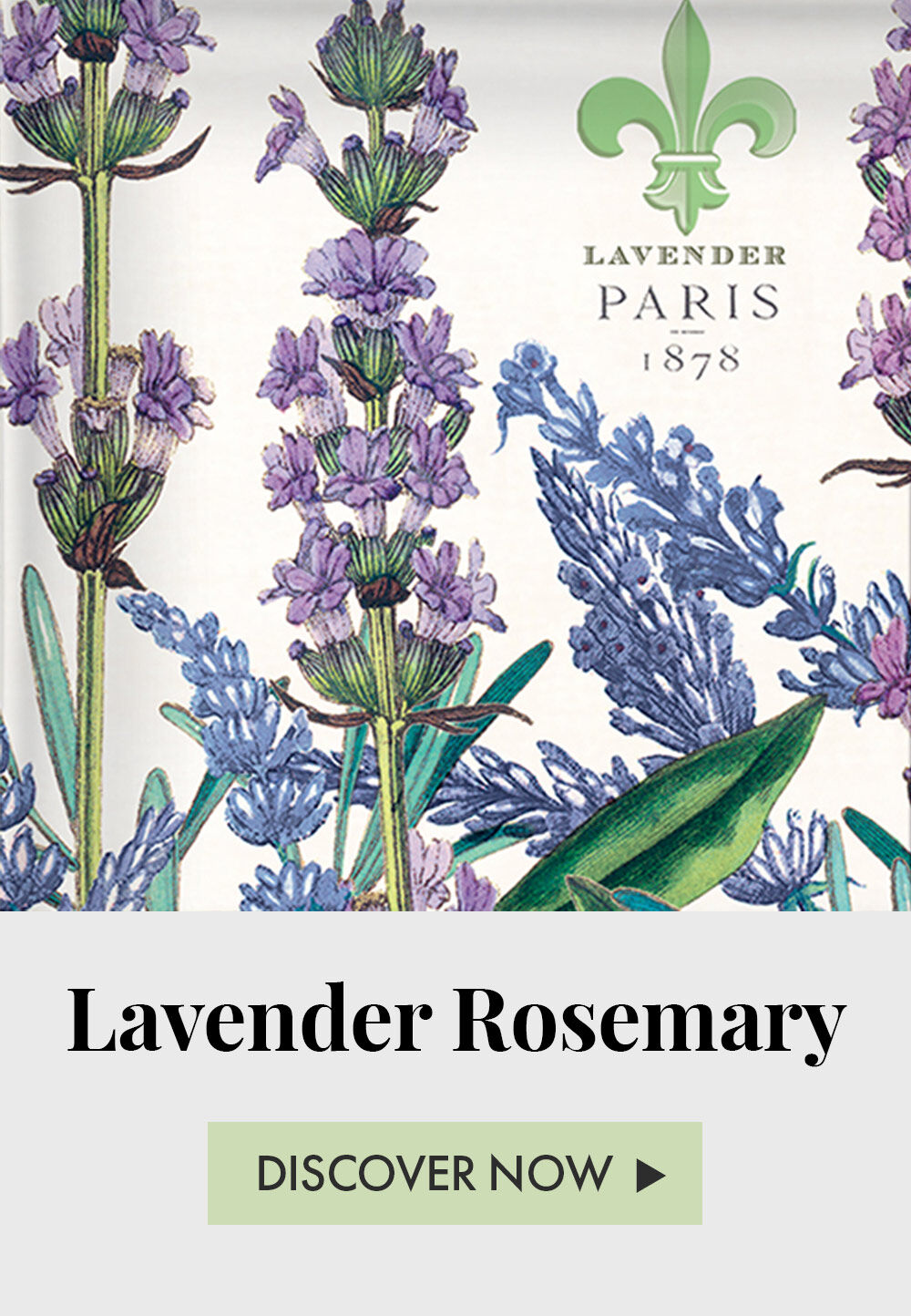 Lavender Rosemary - Discover Now